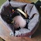 Bear Bear Panda 'Let's Roll Out' MidSize Project Bag